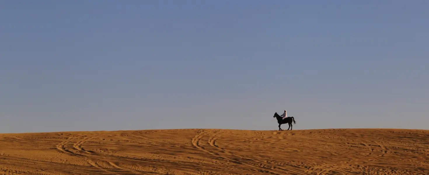 Horse Riding in the Desert in Dubai